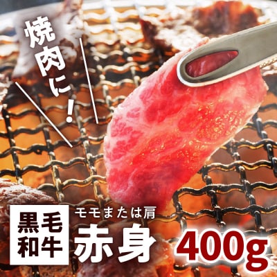 鹿児島黒毛和牛赤身焼肉用(モモまたは肩)400g入り　K130-009