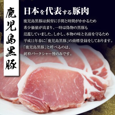 鹿児島黒豚とんかつセット 計900g(C-801)　K127-003