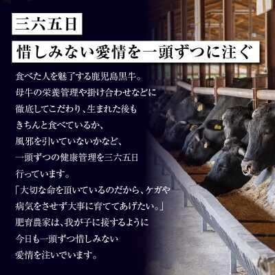 鹿児島黒牛すきやきセット 計600g(D-101)　K127-004