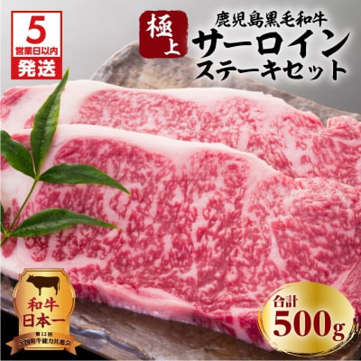 【5営業日以内に発送】鹿児島黒毛和牛のサーロインステーキセット 500g　K134-003