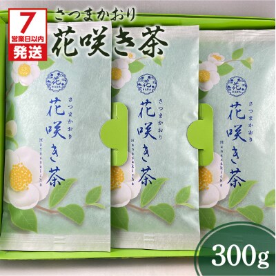 【7営業日以内に発送】さつまかおり 花咲き茶　K115-003