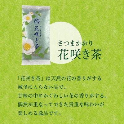 【7営業日以内に発送】さつまかおり 花咲き茶　K115-003