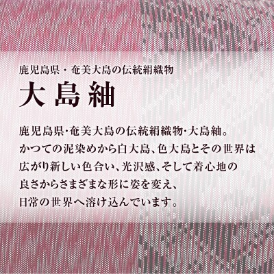 CHANCE(シャンス)大島紬キャラメルポーチ【ワインレッド】　K054-003