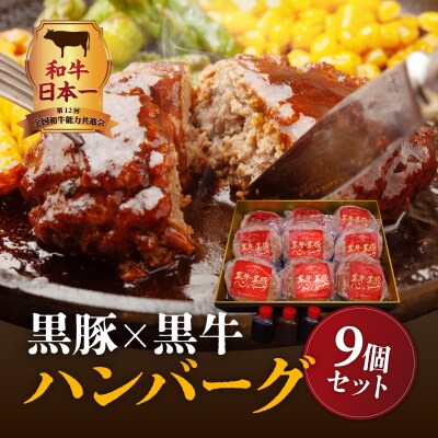 黒豚×黒牛ハンバーグ9個セット　K098-005