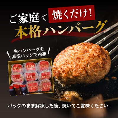 黒豚×黒牛ハンバーグ9個セット　K098-005