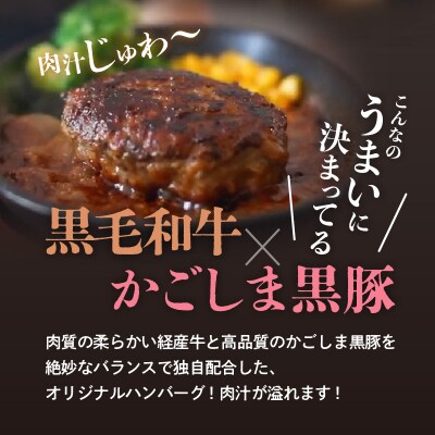黒豚×黒牛ハンバーグ9個セット　K098-005