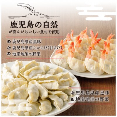 「照照」鹿児島海幸・山幸餃子詰合せ　K061-003