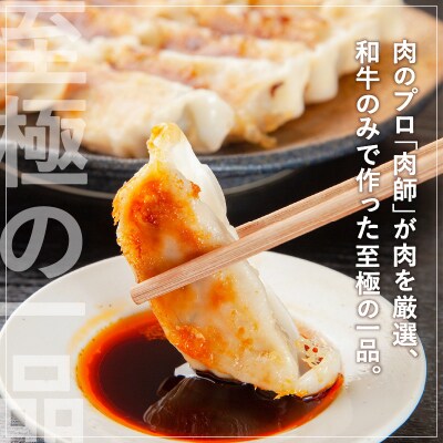 黒毛和牛100%牛餃子12個入り × 6Pセット　K098-006