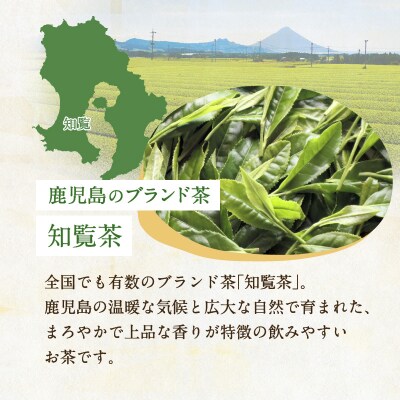 【5営業日以内に発送】やぶきた知覧茶80パック　K111-011