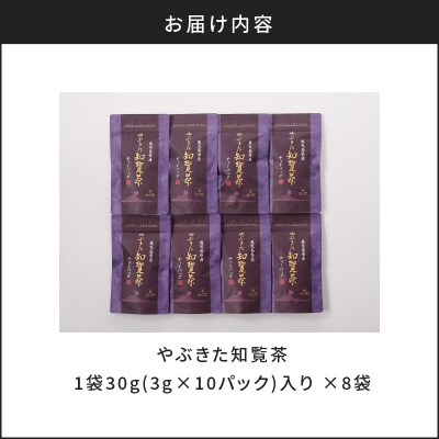【5営業日以内に発送】やぶきた知覧茶80パック　K111-011