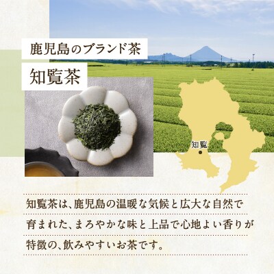 【5営業日以内に発送】知覧茶ゆたかみどり8袋セット　K111-014