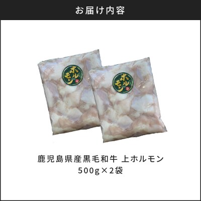 鹿児島県産黒毛和牛　上ホルモン1kg　K328-012