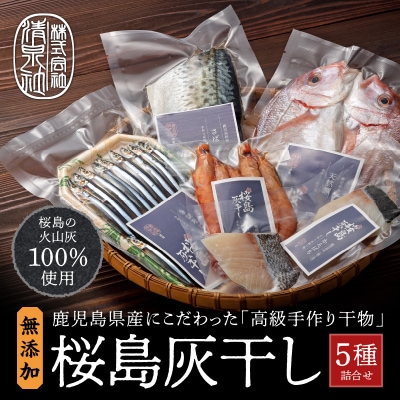 桜島灰干し　5種詰合せ　K178-001