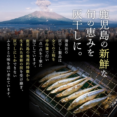 桜島灰干し　5種詰合せ　K178-001