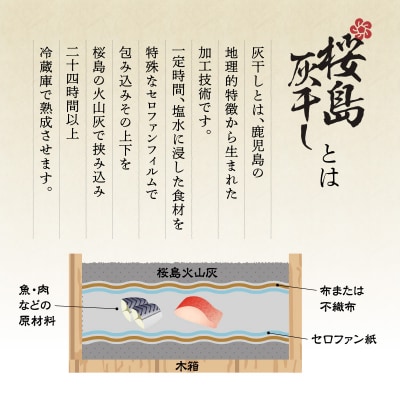 桜島灰干し　5種詰合せ　K178-001