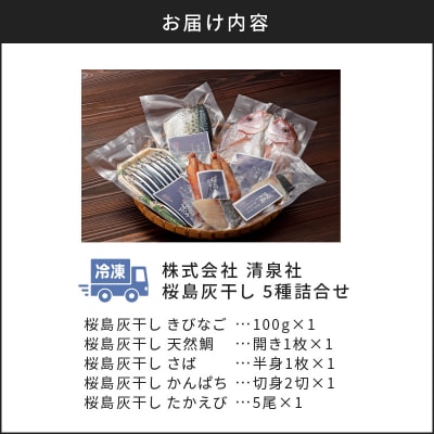 桜島灰干し　5種詰合せ　K178-001