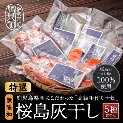 桜島灰干し　5種詰合せ【特選】　K178-002
