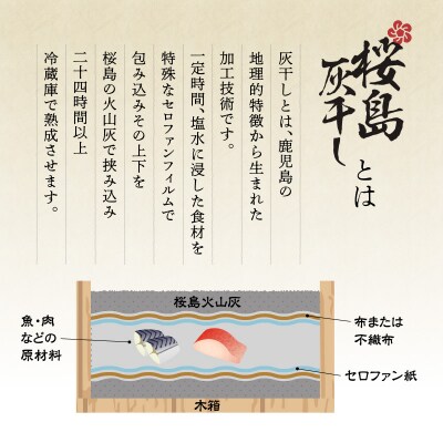 桜島灰干し　5種詰合せ【特選】　K178-002