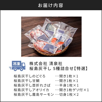 桜島灰干し　5種詰合せ【特選】　K178-002