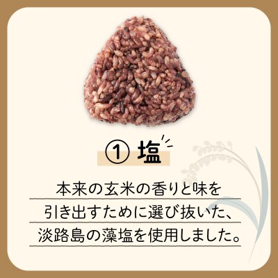 【7営業日以内に発送】選べる!冷凍玄米おむすび 5個入り (1)塩　K182-004_01