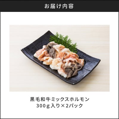 黒毛和牛ミックスホルモン300g入り×2パック　K130-003