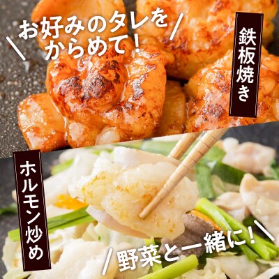 黒毛和牛小腸(ホルモン)300g入り×2パック　K130-002