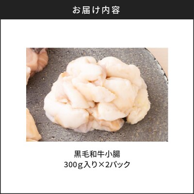 黒毛和牛小腸(ホルモン)300g入り×2パック　K130-002