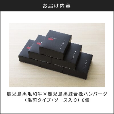 鹿児島黒毛和牛×鹿児島黒豚合挽ハンバーグ(湯煎タイプ・ソース入り)6個　K130-007