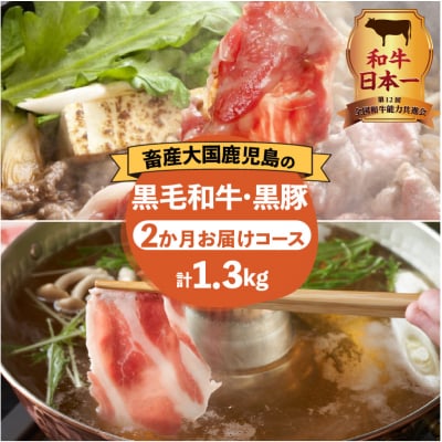【岩元精肉店】鹿児島県産黒毛和牛・かごしま黒豚　お楽しみ2か月お届けコース　K045-T02
