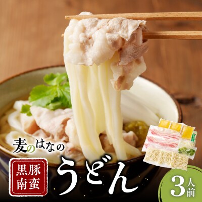 麦のはなの黒豚南蛮うどん【3人前】　K071-002