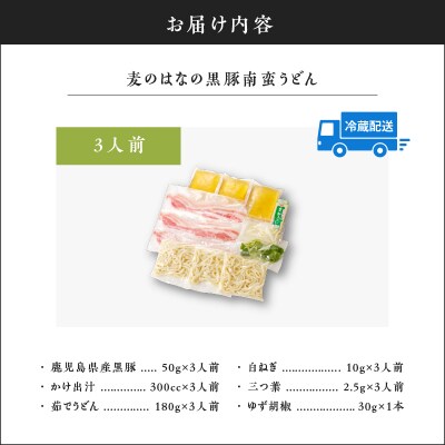 麦のはなの黒豚南蛮うどん【3人前】　K071-002