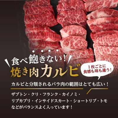鹿児島県産黒毛和牛焼き肉カルビ　K098-001