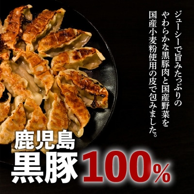 【日本全国!ご当地冷凍食品大賞 2024-2025 優秀賞受賞!】鹿児島黒豚100%餃子 32個入り