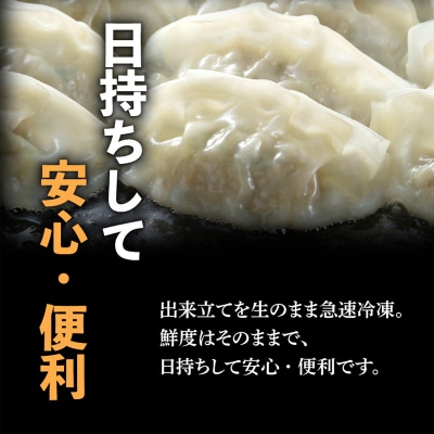 【日本全国!ご当地冷凍食品大賞 2024-2025 優秀賞受賞!】鹿児島黒豚100%餃子 48個入り