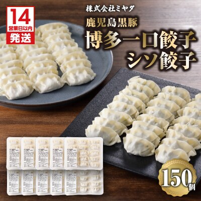 【14営業日以内に発送】 鹿児島黒豚博多一口餃子・シソ餃子　150個　K025-004