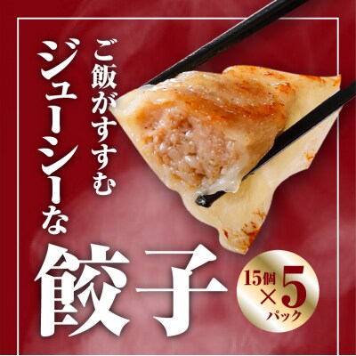 【14営業日以内に発送】 鹿児島黒豚博多一口餃子・シソ餃子　150個　K025-004