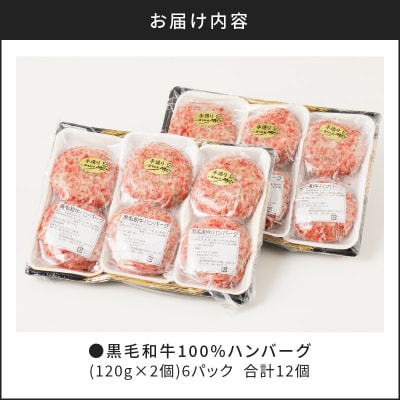 【肉のヨコムラ】鹿児島県産 黒毛和牛100%ハンバーグ(2個入×6パック)　K189-004