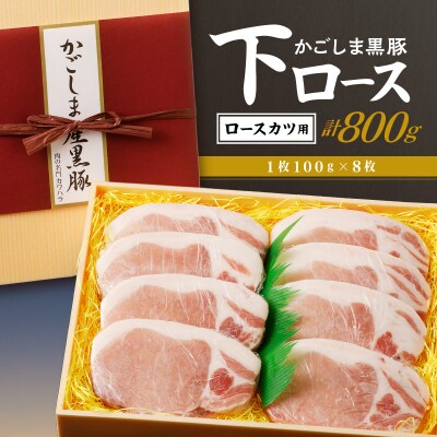 かごしま黒豚 下ロースカツ用　8枚入り　K146-005
