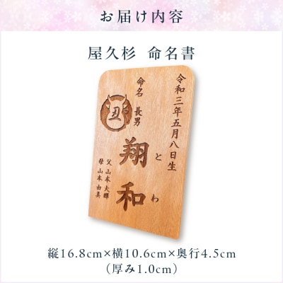 屋久杉 命名書　K042-003