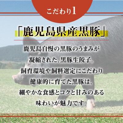 鹿児島黒豚使用の黒豚バラエティ生餃子　K202-002