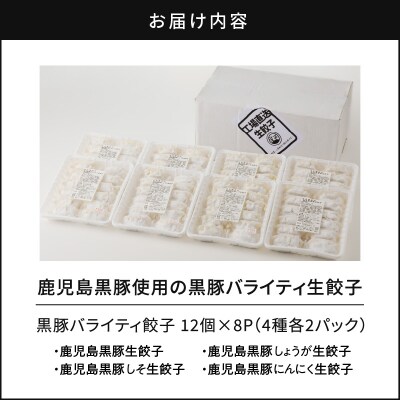 鹿児島黒豚使用の黒豚バラエティ生餃子　K202-002