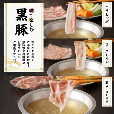 【5営業日以内に発送】鹿児島県産黒豚お徳用 6種詰合せ(2.5kg) K134-011