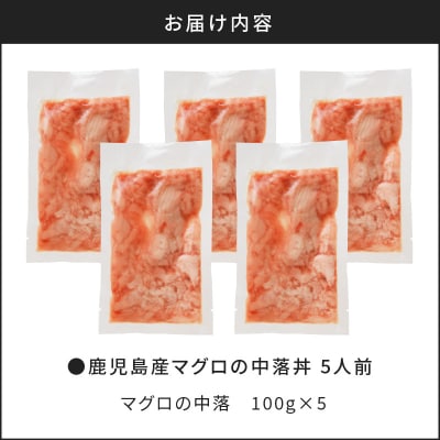 鹿児島産マグロの中落丼 5人前　K100-004