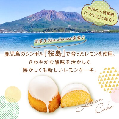 桜島檸檬のレモンケーキ　K236-001