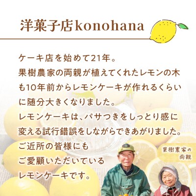 桜島檸檬のレモンケーキ　K236-001
