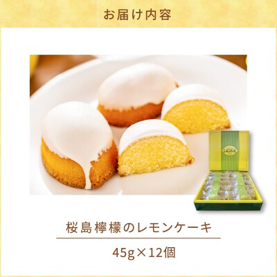 桜島檸檬のレモンケーキ　K236-001