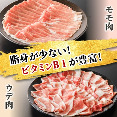 【10営業日以内に発送】かごしま黒豚 切落し(モモ肉、ウデ肉) 500g×3P　K091-005