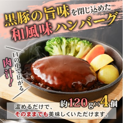 【10営業日以内に発送】鹿児島黒豚 バラエティーセット　K091-008