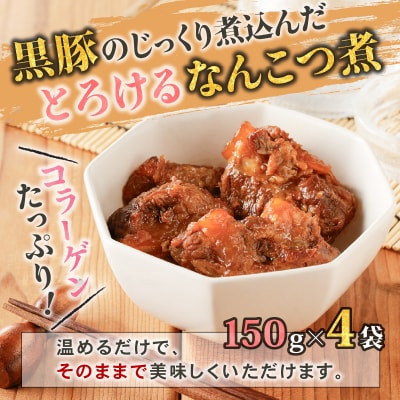 【10営業日以内に発送】鹿児島黒豚 バラエティーセット　K091-008