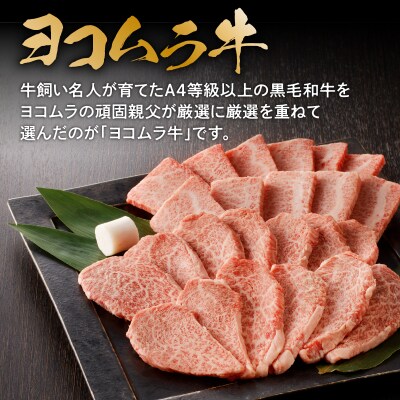 鹿児島黒毛和牛A4～A5 焼肉特上セット カルビ/ロース　K189-007